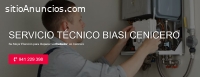 Servicio Técnico Biasi Cenicero