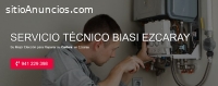Servicio Técnico Biasi Ezcaray