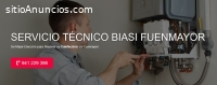 Servicio Técnico Biasi Fuenmayor