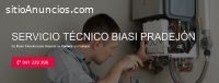 Servicio Técnico Biasi Pradejón