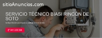 Servicio Técnico Biasi Rincón de Soto