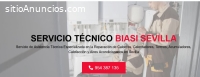 Servicio Técnico Biasi Sevilla