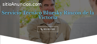 Servicio Técnico Bluesky Rincón De La Vi