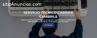 Servicio Técnico Carrier Cambrils
