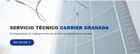 Servicio Técnico Carrier Granada