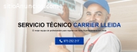 Servicio Técnico Carrier Lleida