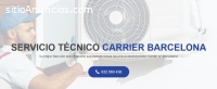 Servicio Técnico Carrier