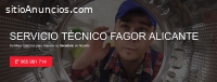 Servicio Técnico Fagor Alicante