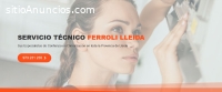 Servicio Técnico Ferroli Lleida