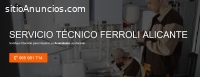 Servicio Técnico FerroliAlicante