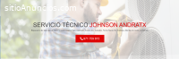 Servicio Técnico Johnson Andratx