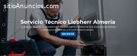 Servicio Técnico Liebherr Almeria