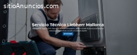 Servicio Técnico Liebherr Mallorca