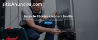 Servicio Técnico Liebherr Sevilla