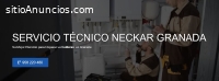 Servicio Técnico Neckar Granada