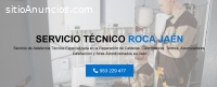 Servicio Técnico Roca Jaen