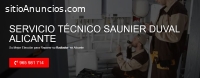 Servicio Técnico Saunier Duval Alicante