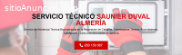 Servicio Técnico Saunier Duval Almeria