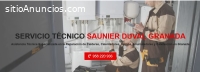 Servicio Técnico Saunier Duval Granada