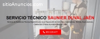 Servicio Técnico Saunier Duval Jaen