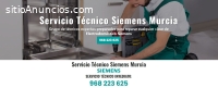 Servicio Técnico Siemens Murcia