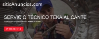 Servicio Técnico Teka Alicante