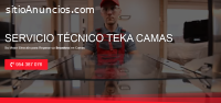 Servicio Técnico Teka Camas 954341171