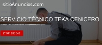 Servicio Técnico Teka Cenicero