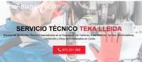 Servicio Técnico Teka Lleida