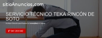 Servicio Técnico Teka Rincón de Soto