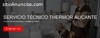 Servicio Técnico Thermor Alicante