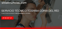 Servicio Técnico Toshiba Coria del Río