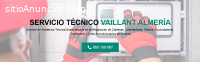 Servicio Técnico Vaillant Almeria 950206