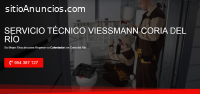 Servicio Técnico Viessmann Coria del Río