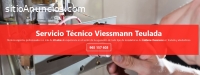 Servicio Técnico Viessmann Teulada 96521