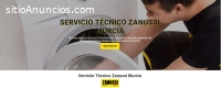 Servicio Técnico Zanussi Murcia