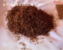 Tabaco es precio ideal - 39 Euro 1 Kg