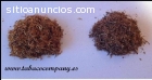 Tabaco es precio ideal - 39 Euro 1 Kg