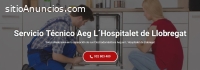 Técnico Aeg Hospitalet de Llobregat
