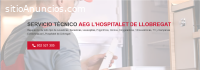 Técnico Aeg L´Hospitalet de Llobregat