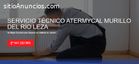 Técnico Atermycal Murillo del Río Leza