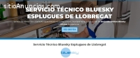 Técnico Bluesky Esplugues de Llobregat