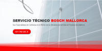 Técnico Bosch Mallorca