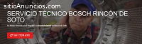 Técnico Bosch Rincon de Soto