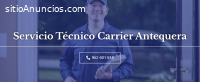 Técnico Carrier Antequera 952210452