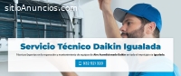 Técnico Daikin Igualada