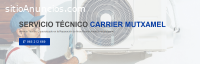 Técnico Carrier Mutxamel 965217105