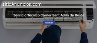 Técnico Carrier Sant Adrià de Besòs