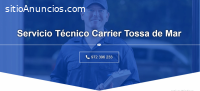 Técnico Carrier Tossa de Mar