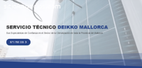 Técnico Deikko Mallorca